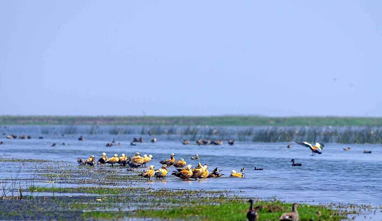 Chilika Tour Package from Bhubaneswar