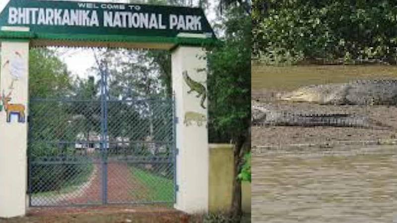 BHITARKANIKA & SIMLIPAL TOUR