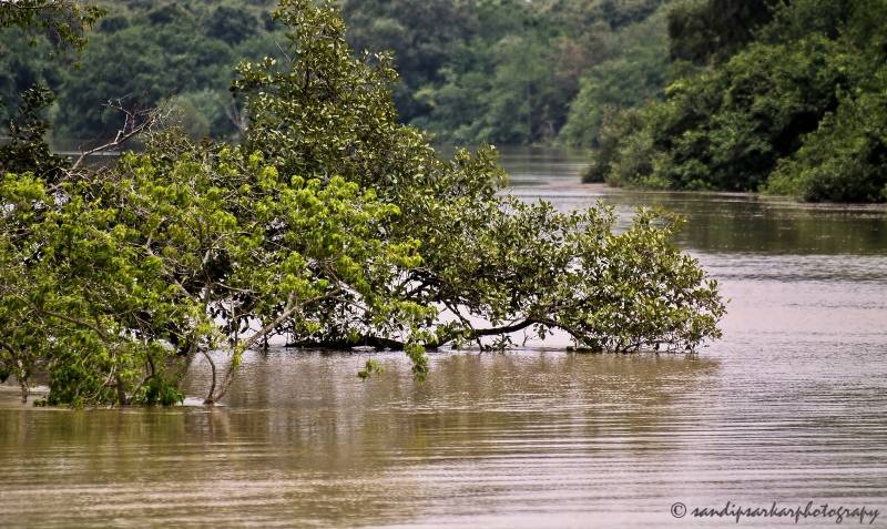 BHITARKANIKA & SIMLIPAL TOUR