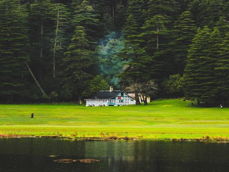 Best Himachal Pradesh Tour Packages