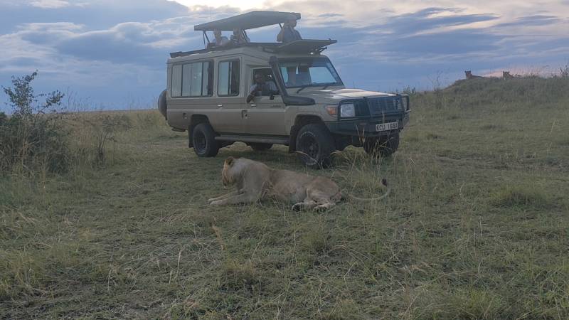 3 Days Great Migration Budget Safari in Maasai Mara National Reserve, Kenya