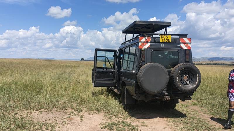 3 Days Great Migration Budget Safari in Maasai Mara National Reserve, Kenya