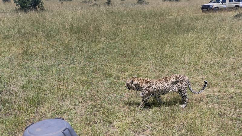 4 Days Great Migration Safari in Masai Mara, Kenya
