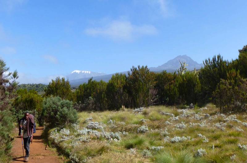 1 Day Kilimanjaro Hiking Experience