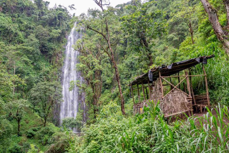 Materuni Waterfalls & Coffee Plantation