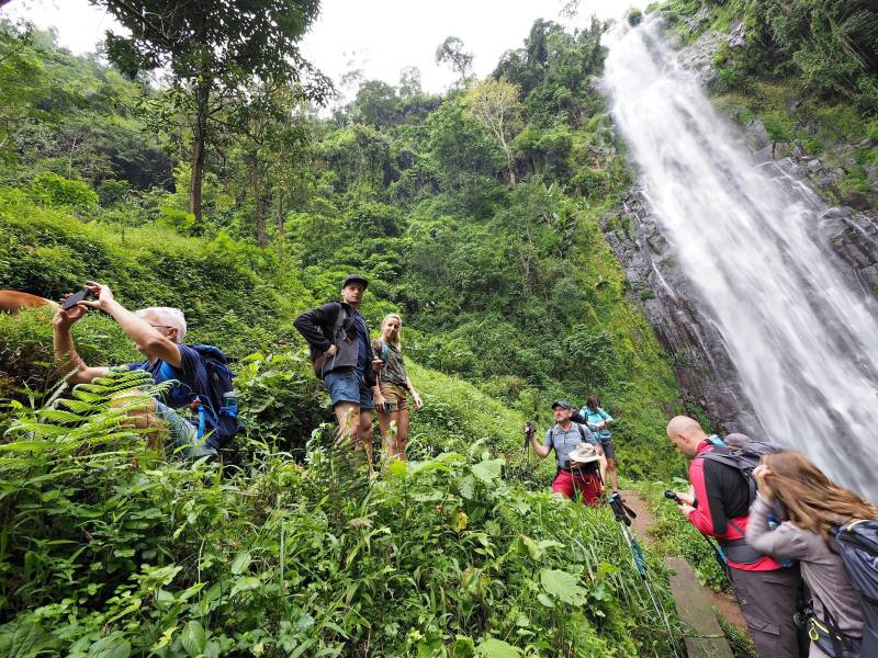 Materuni Waterfalls & Coffee Plantation