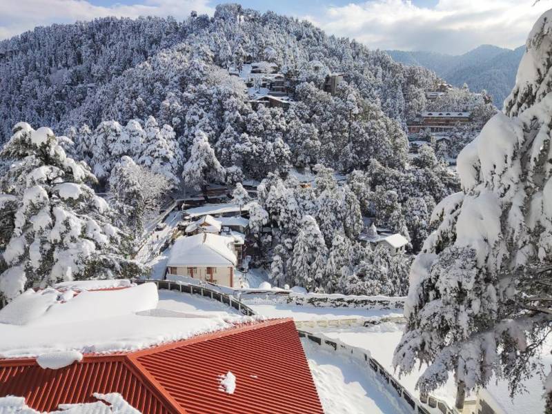 7 Nights/ 8 Days Shimla, Dharamshala and Dal Housie Tour