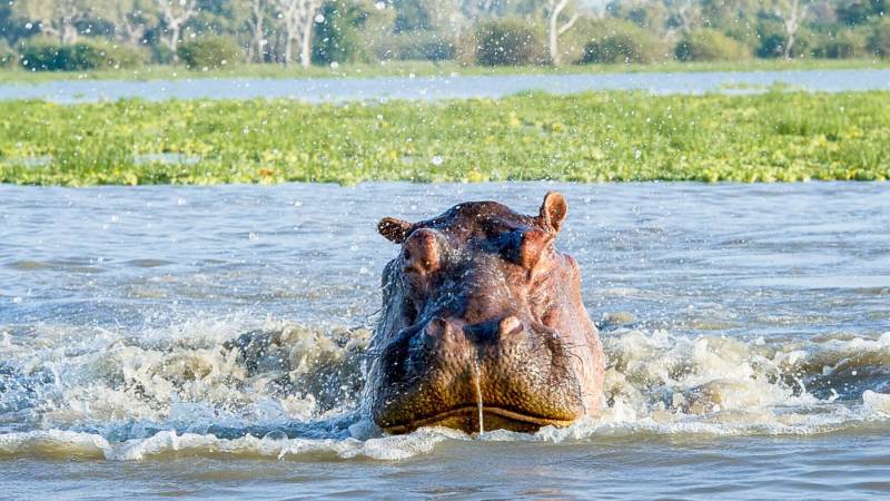 2 Days - 1 Night Selous Safari From Zanzibar