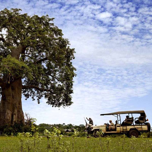 5 Nights 6 Days Zanzibar - Selous Safari Package