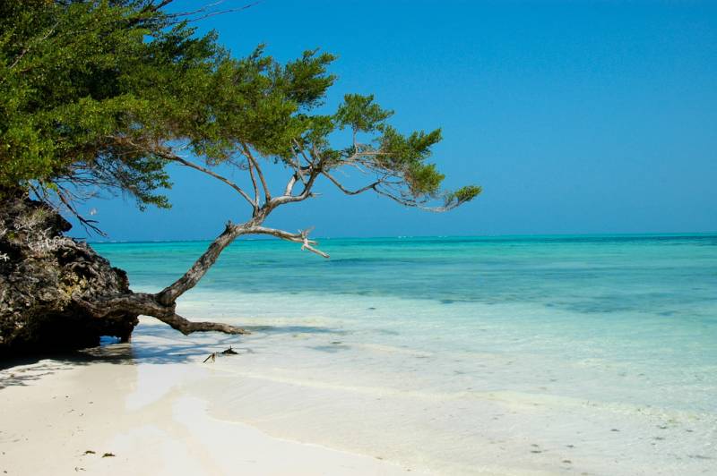 10D Zanzibar - Stone Town - Serengeti - Zanzibar - Southern Coast Tour Image