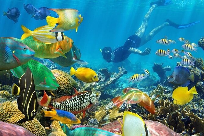 PUNGUME SANDBANK & SALAM CAVE