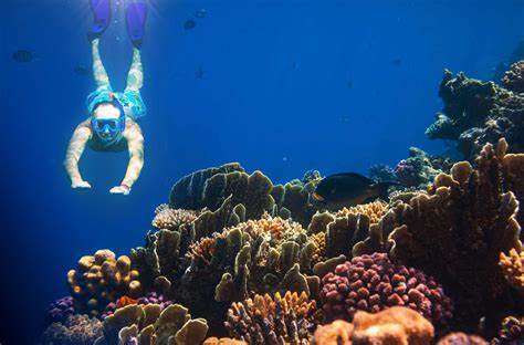 PUNGUME SANDBANK & SALAM CAVE