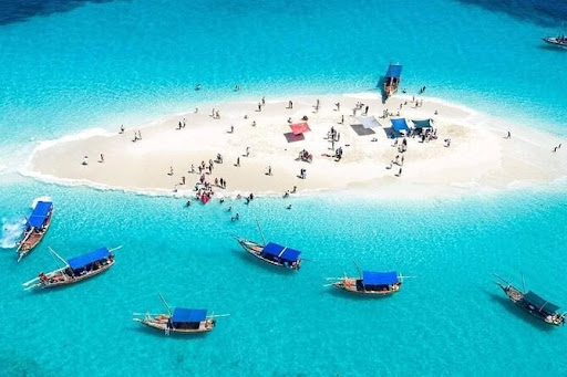 SAFARI BLUE - THE CLASSIC Boat Excursion