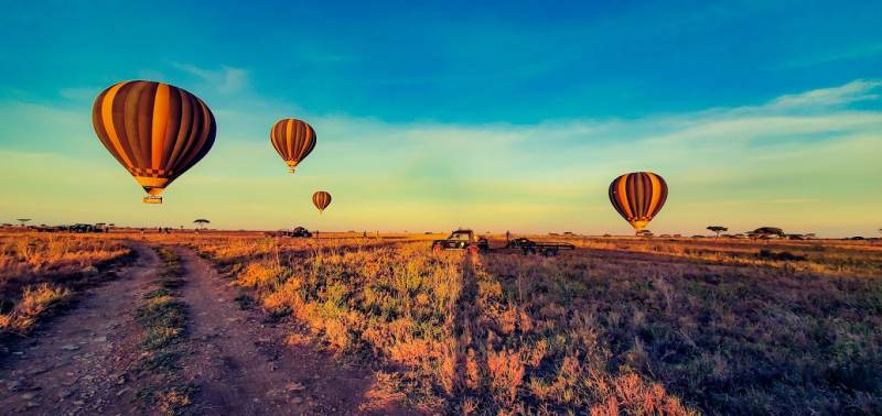 2 Days - 1 Night Serengeti Safari From Zanzibar