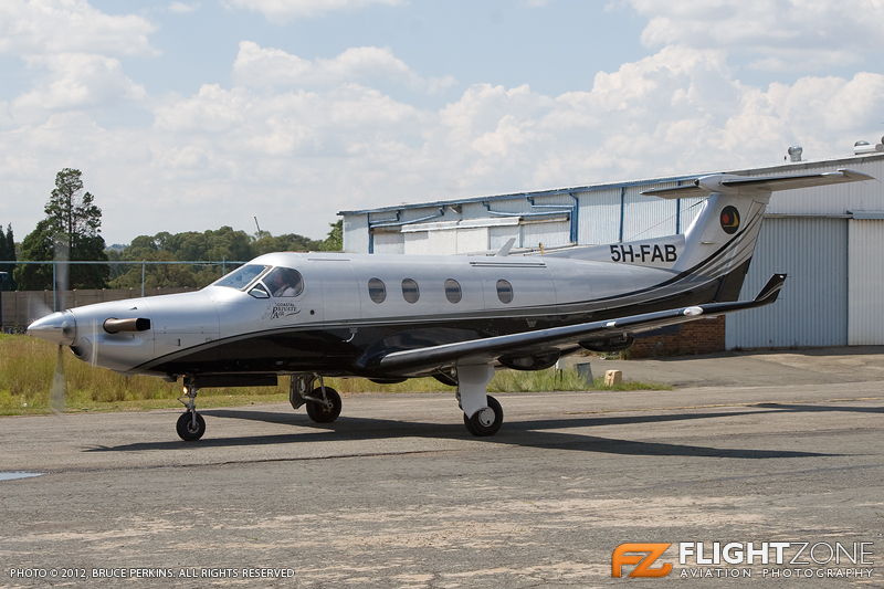 1 Day Serengeti Private Charter Flight (pc12 or C208) from Zanzibar