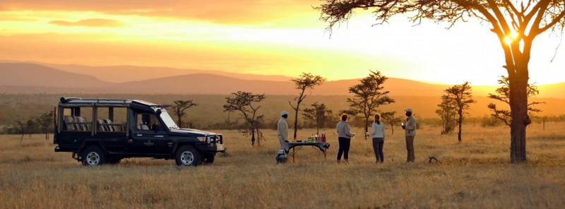 1 Day Serengeti Private Charter Flight (pc12 or C208) from Zanzibar