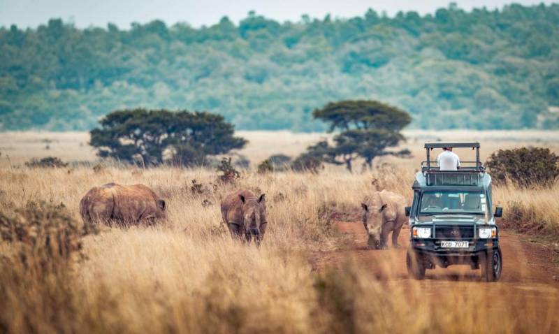 1 Day Serengeti Private Charter Flight (pc12 or C208) from Zanzibar