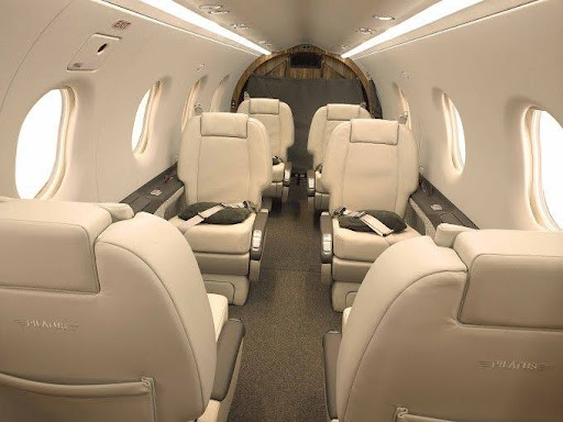 1 Day Serengeti Private Charter Flight (pc12 or C208) from Zanzibar