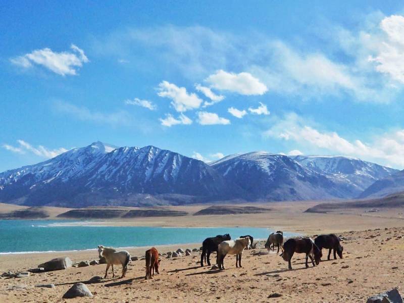 LADAKH CALLING PACKAGE 09 Night 10 Days Tour