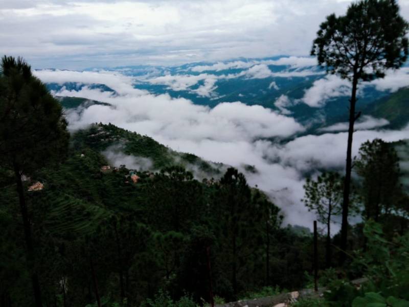 Lansdowne trip 2 Night 3 Days Delhi Lansdowne delhi Min 6 people