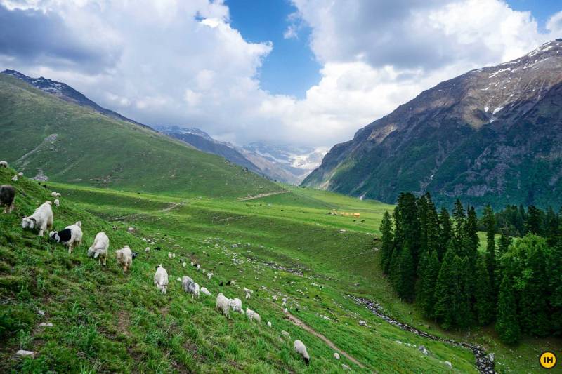 CHANDRANAHAN LAKE TREK