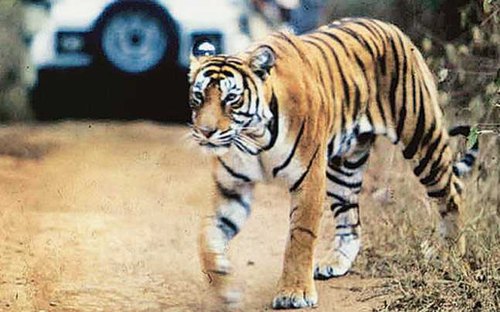 Uttarakhand tour package 4 days 3 nights Itinerary - 01 Night Joshimath|02 Night Auli