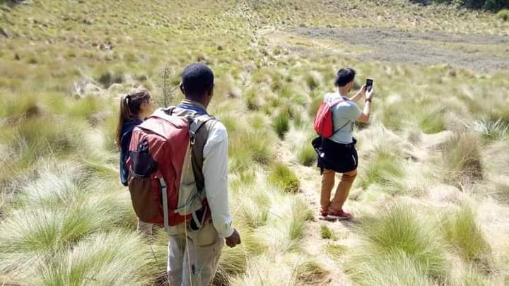 1 Day Climbing Mount Kilimanjaro