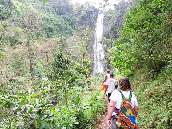 Day Trip to Materuni Waterfall and Coffee Tour Image