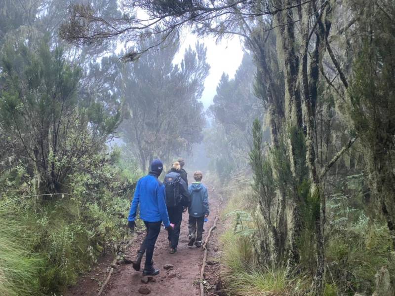 Two Days One Night Mount Kilimanjaro Climbing Via Marangu