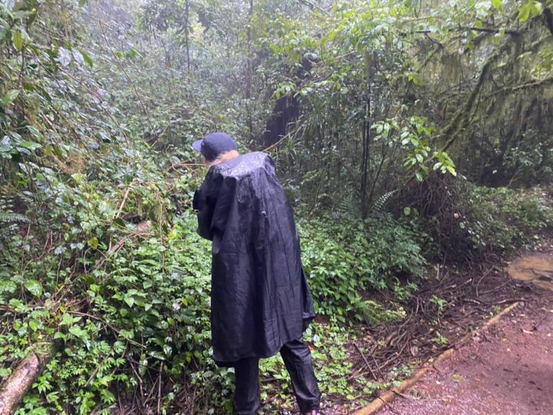 Two Days One Night Mount Kilimanjaro Climbing Via Marangu