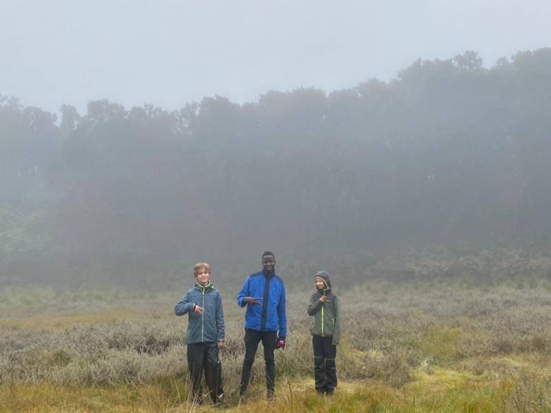 Two Days One Night Mount Kilimanjaro Climbing Via Marangu