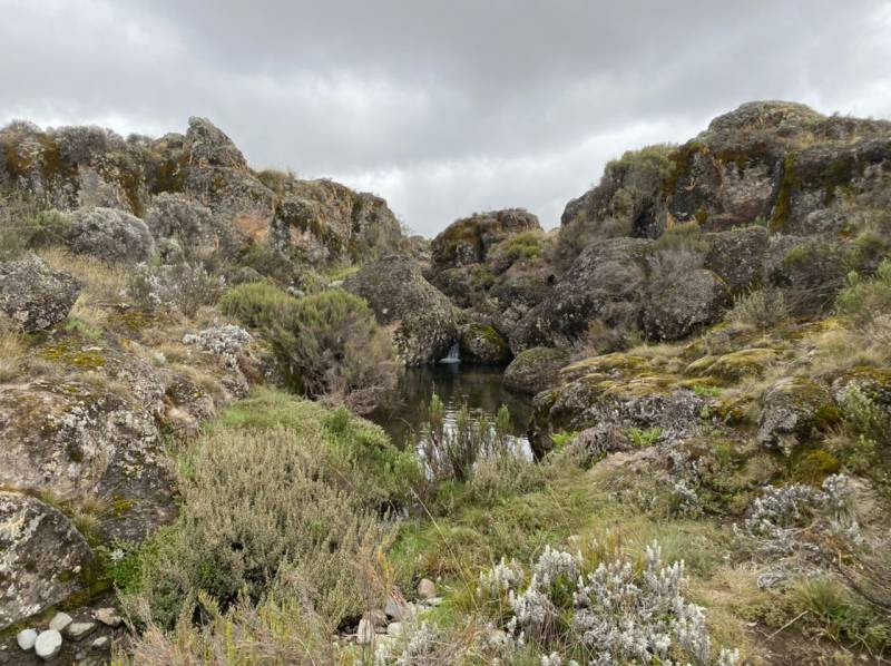 Two Days Mount Kilimanjaro Climbing Via Londorrosi Gate