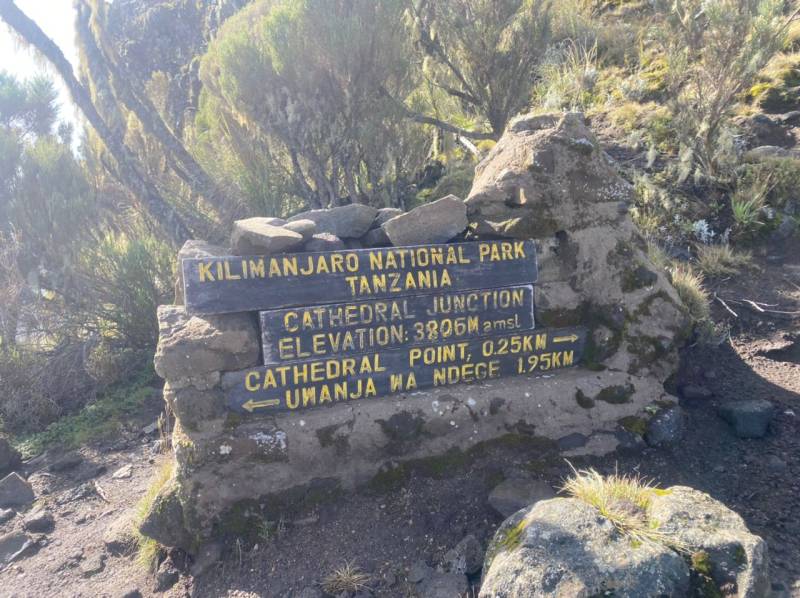 Two Days Mount Kilimanjaro Climbing Via Londorrosi Gate