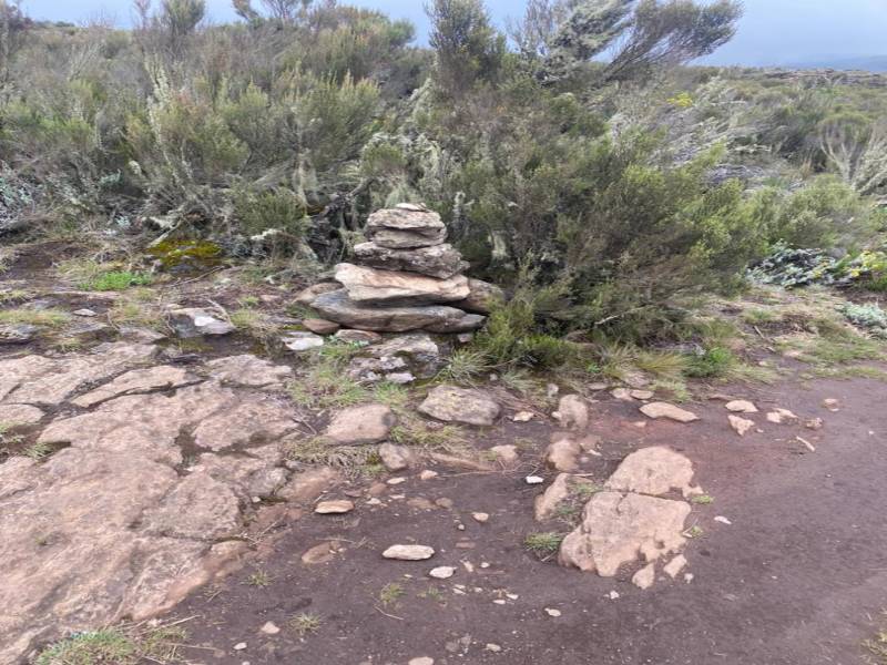 Two Days Mount Kilimanjaro Climbing Via Londorrosi Gate