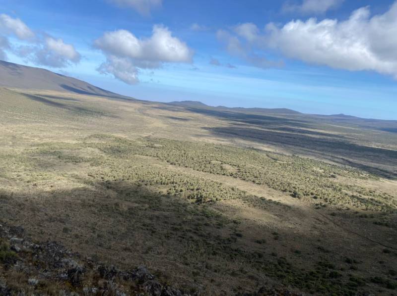 Two Days Mount Kilimanjaro Climbing Via Londorrosi Gate