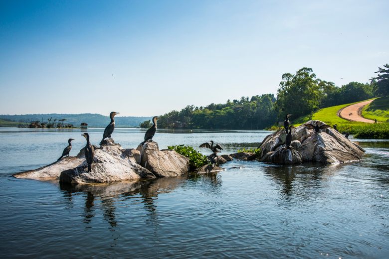 Jinja Source Of The Nile Experience 4 Days Tour Image