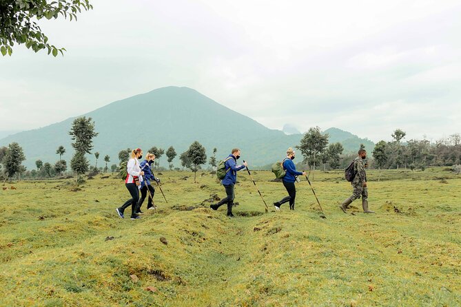 Volcanoes National Park And Lake Kivu Experience 5 Days Tour