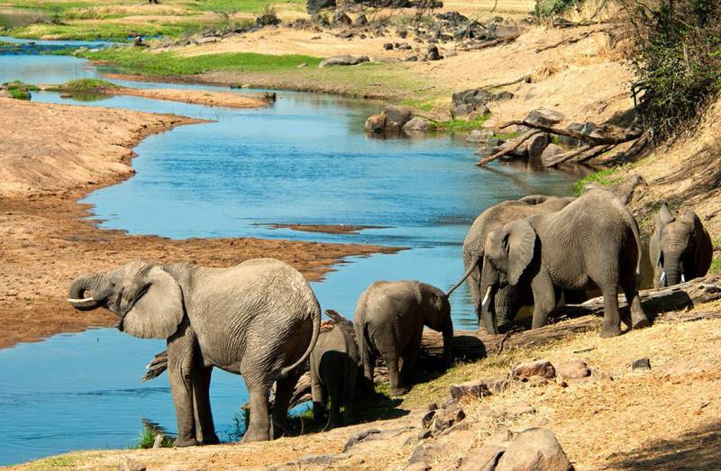 10 Days 9 Nights Southern Tanzania Safari Tour Image