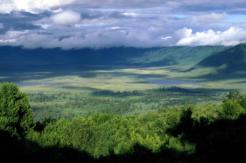 2 Days Tanzania Safari Tour Package In Lake Manyara And Ngorongoro Crater