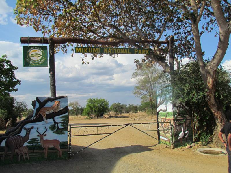 Mikumi National Park - Day Trip From Dar Es Salaam