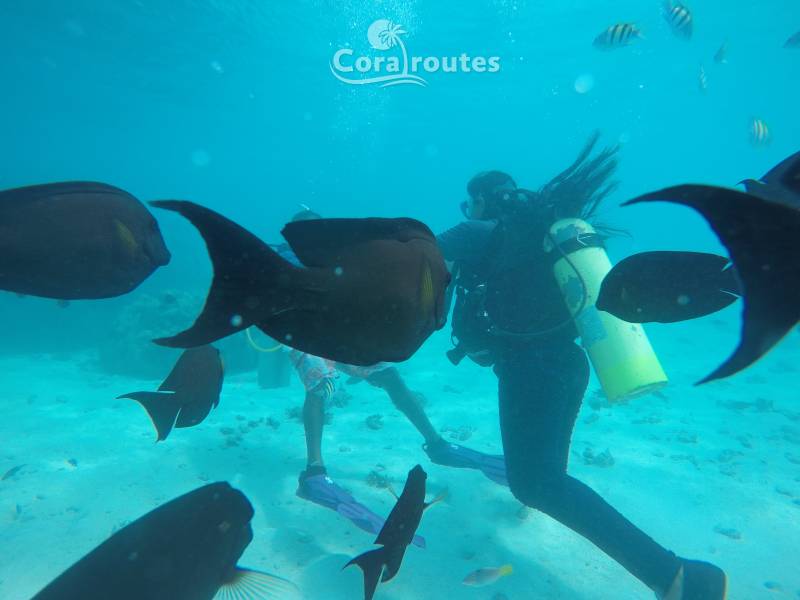 3 Nights 4 Days Lakshadweep Agatti Island Pacakge