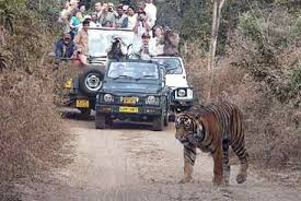 4 Night 5 Day Jaipur Rajasthan Wild Life  B2b