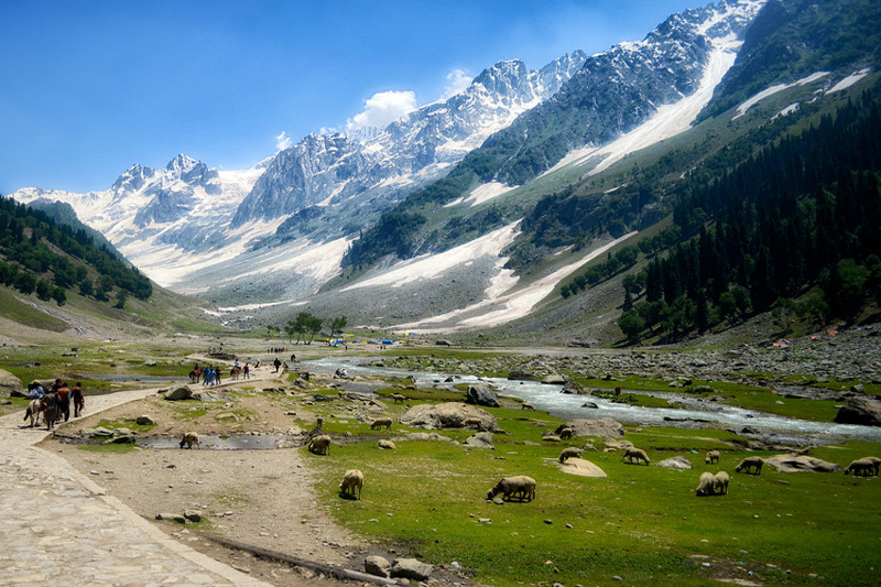 3 Night 4 Day Dharamshala Package