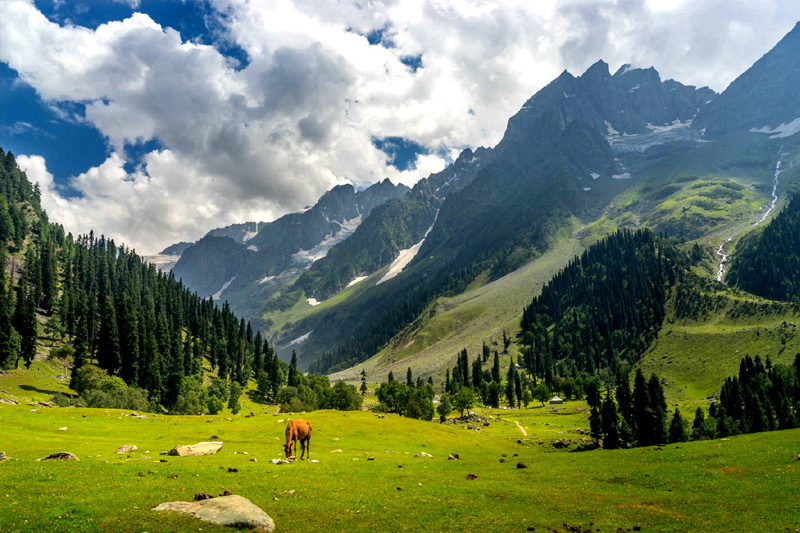 9 Night 10 Day All Himachal Person