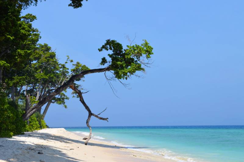Andaman Tour Package For 7 Nights