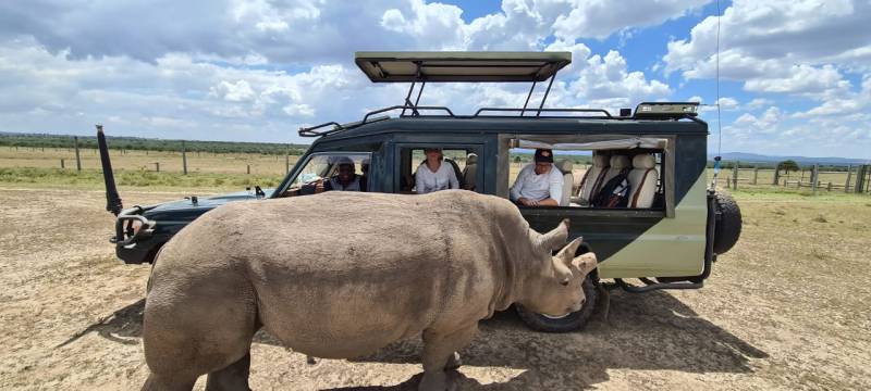 Nairobi National Park Half-Day safari