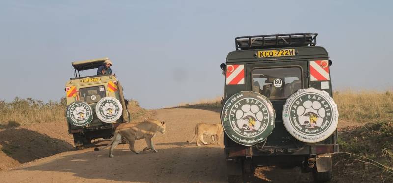 1 Day Ultimate Lake Naivasha & Hell's Gate Day Safari