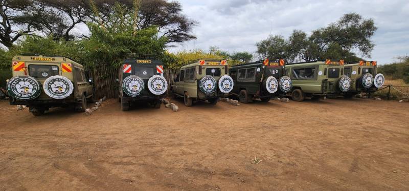 1 Day Amboseli National Park Safariate Day Safari