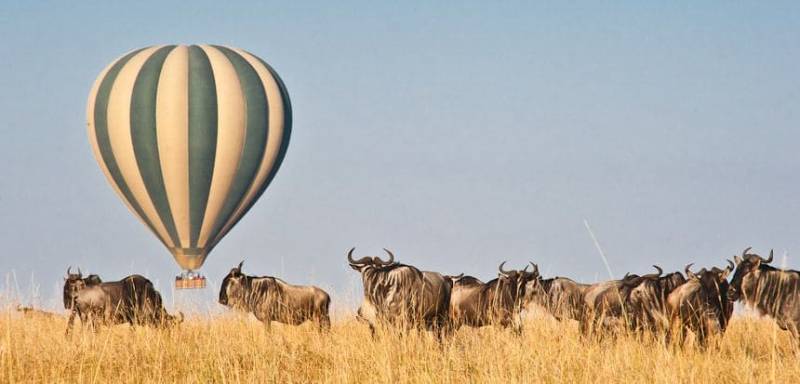 5-Day Kenya Safari Big 5 Wildlife, Great Migration & Rift Valley Experience