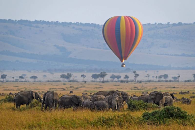 7-Day Kenya Safari: Samburu, Great Rift Lakes & Masai Mara Adventure